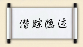 潜踪隐迹图片
