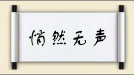 悄然无声图片