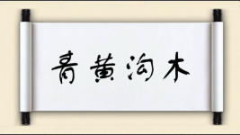 青黄沟木图片