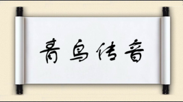 青鸟传音图片