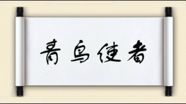 青鸟使者图片