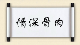 情深骨肉图片