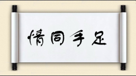 情同手足图片