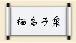 栖鸟于泉图片