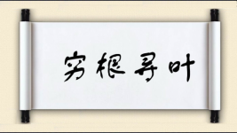 穷根寻叶图片