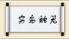 穷鸟触笼图片
