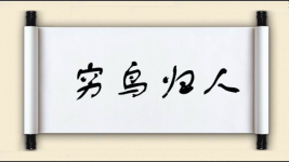 穷鸟归人图片
