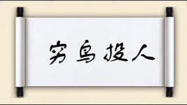 穷鸟投人图片
