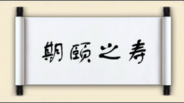 期颐之寿图片