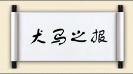 犬马之报图片
