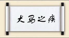 犬马之疾图片