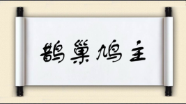 鹊巢鸠主图片