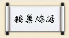 鹊巢鸠据图片