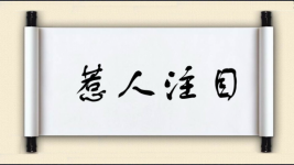 惹人注目图片