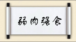 弱肉强食图片
