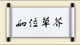 如泣草芥图片