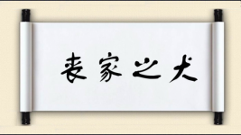丧家之犬图片