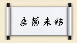 桑荫未移图片