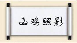 山鸡照影图片