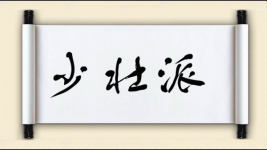 少壮派图片