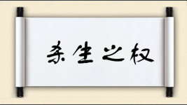 杀生之权图片