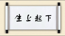 生上起下图片