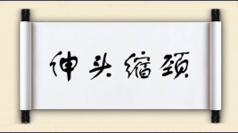 伸头缩颈图片