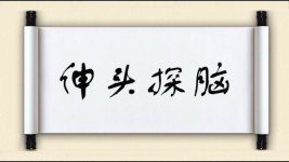 伸头探脑图片