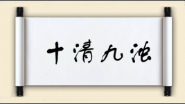 十清九浊图片