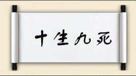 十生九死图片