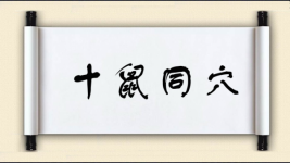 十鼠同穴图片