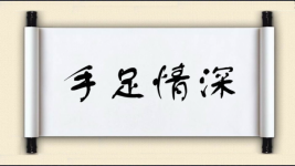 手足情深图片