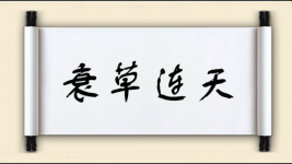 衰草连天图片