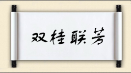 双桂联芳图片