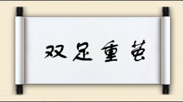 双足重茧图片