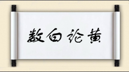 数白论黄图片