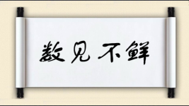 数见不鲜图片