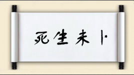 死生未卜图片