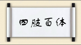 四肢百体图片