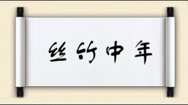 丝竹中年图片