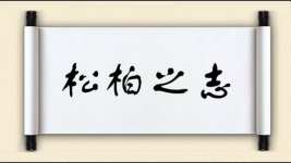 松柏之志图片