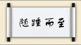 随踵而至图片