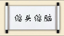 缩头缩脑图片