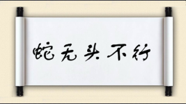 蛇无头不行图片