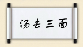 汤去三面图片