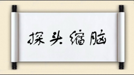 探头缩脑图片
