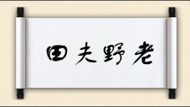 田夫野老图片