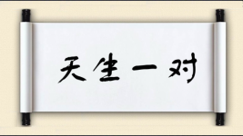 天生一对图片