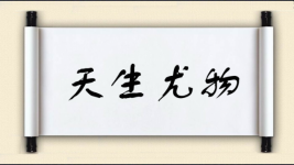 天生尤物图片
