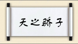 天之骄子图片